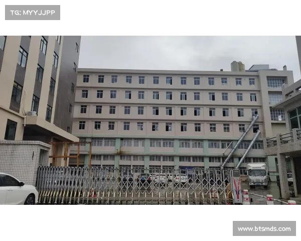 卡迪斯中国 卡迪斯中国